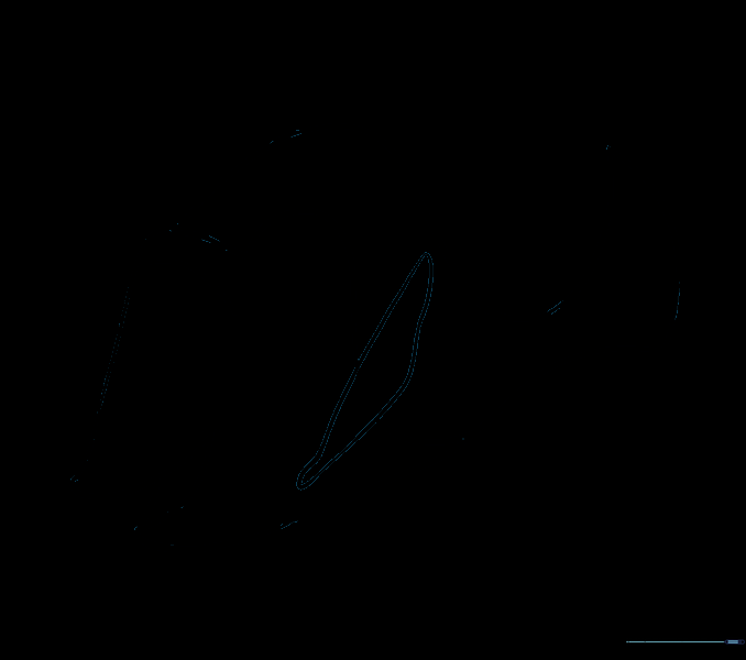 The dorsal fin after erasing internal construction lines.