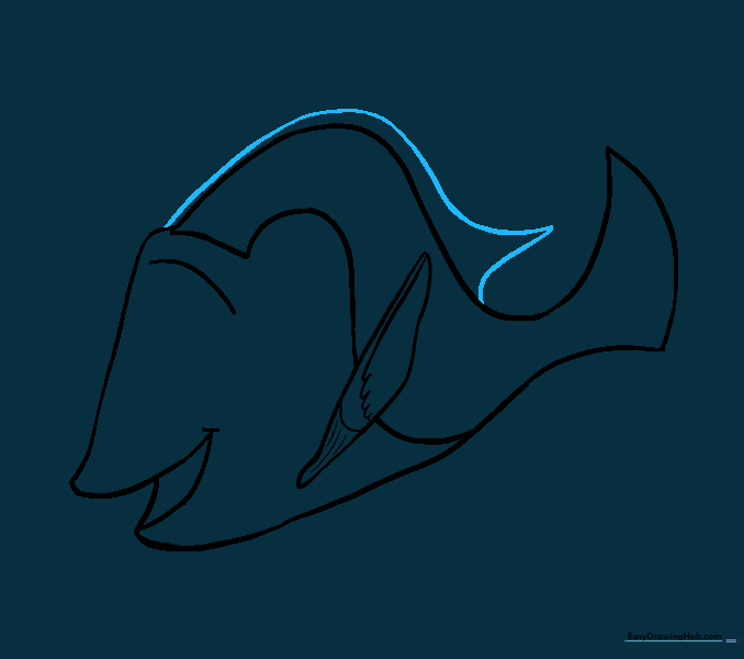Drawing the top fin with a sharp, curved line.