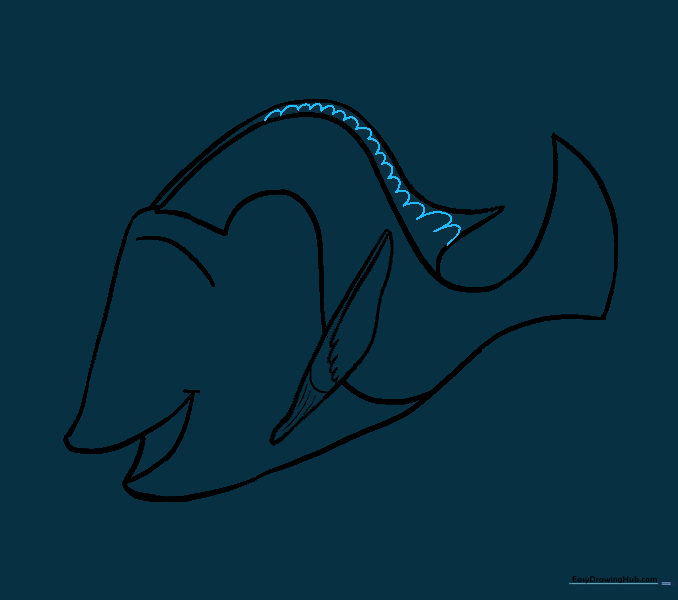 Adding a scalloped pattern to the top fin.