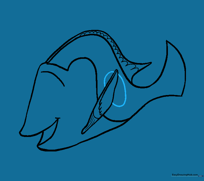 Drawing an oval shape on the side of the fish's body.