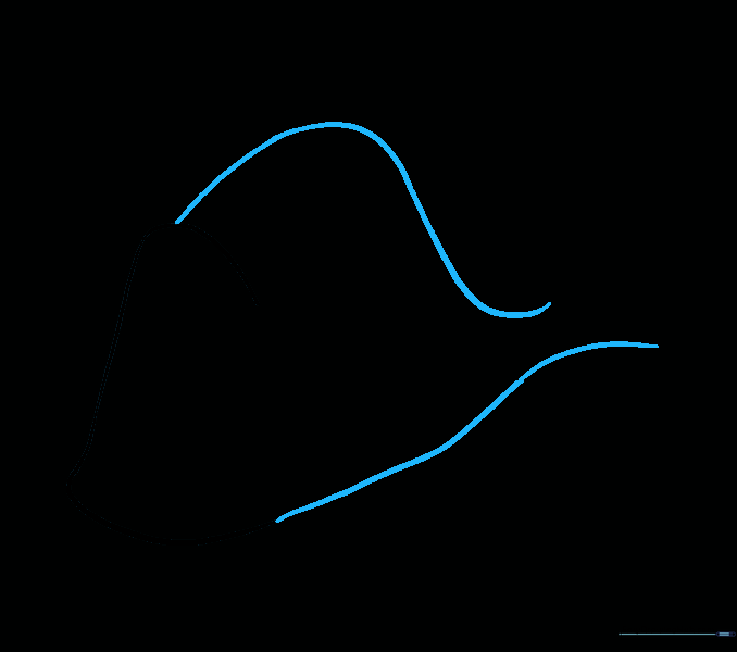 Long curved lines extending from the head to form the main body shape of the fish.