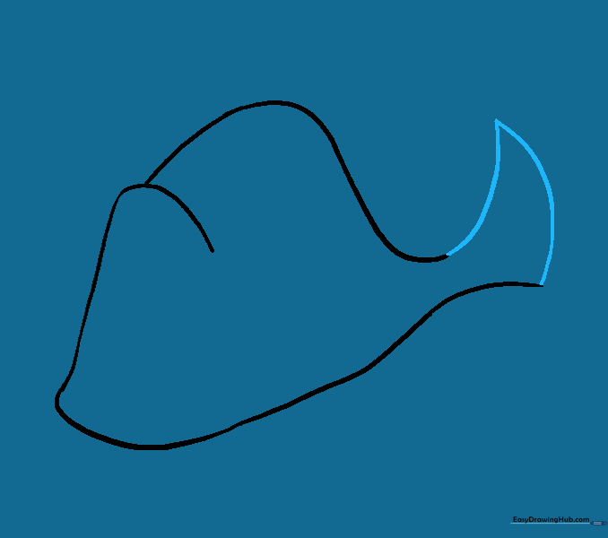Body lines converging into a point to create the base of the tail fin.