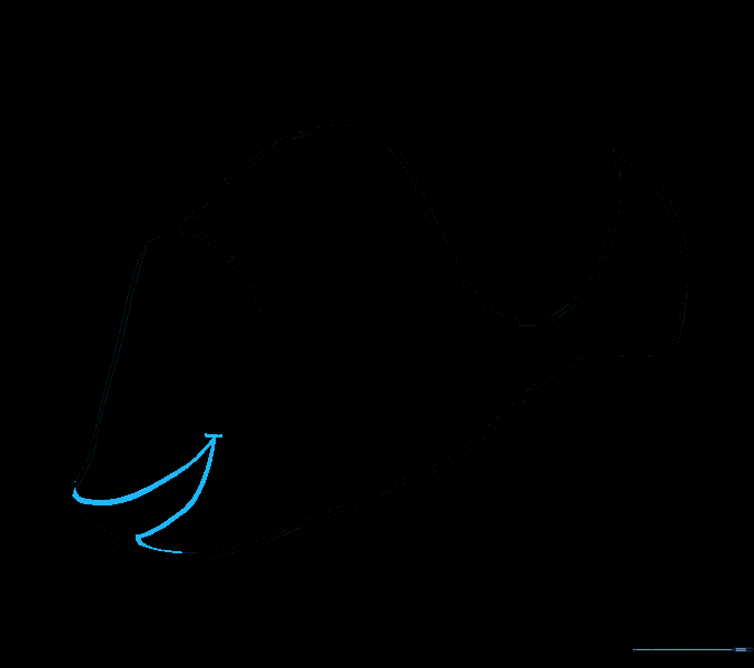 Detailed sketch of Dory's mouth area with a small smile.