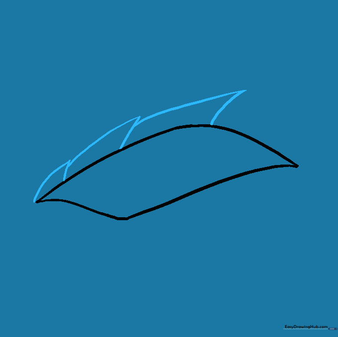 Three distinct scale shapes drawn along the top ridge of the eye.