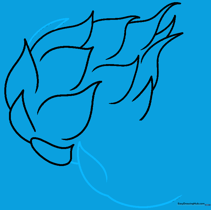 Sketching the outline of a second dragon fruit positioned next to the first one.