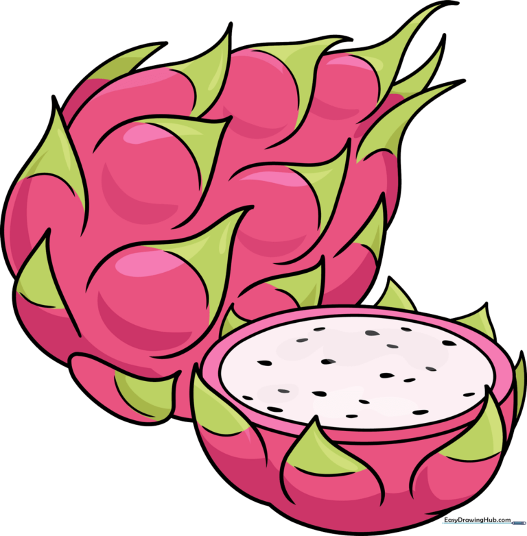 A colorful, finished drawing of a whole and sliced dragon fruit.
