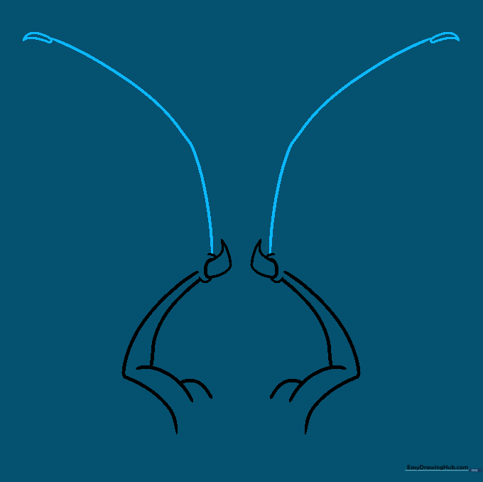 Sketch showing the extension of the wing bones with additional claws at the tips.