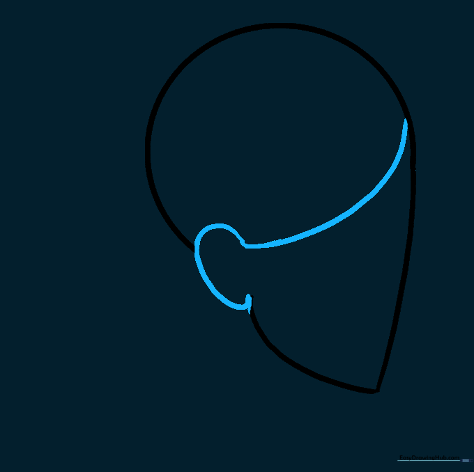 The face outline after erasing the unnecessary construction lines.