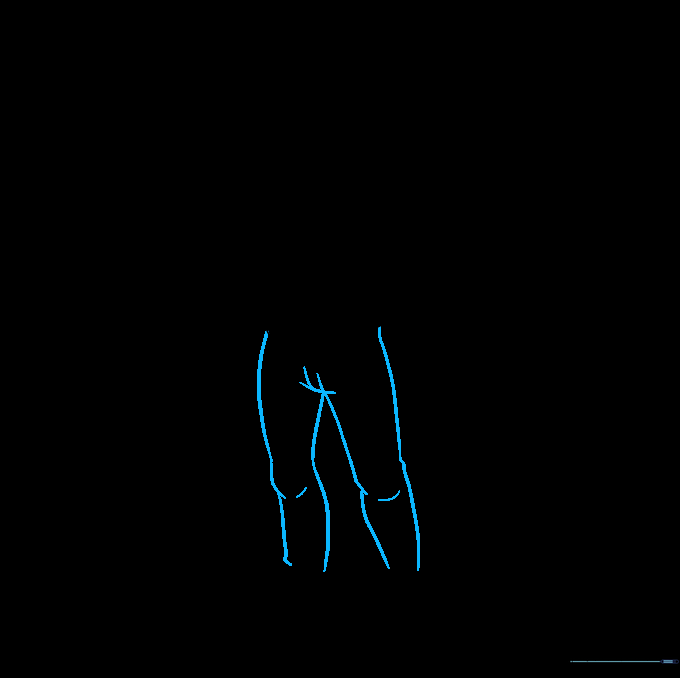 Drawing long curved lines to form the legs and knee joints