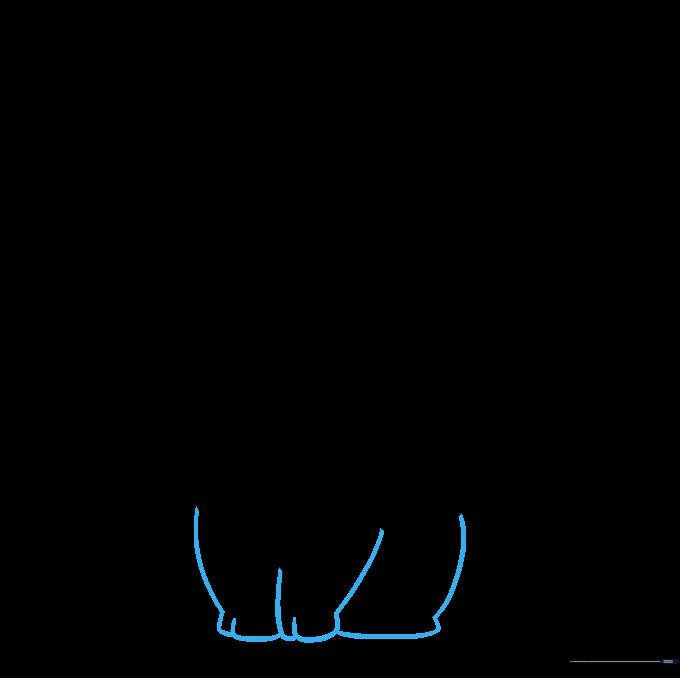 Sketching the front legs and feet with toe details.