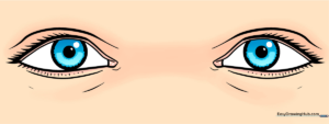 A high-quality, finished illustration of a pair of realistic human eyes, perfect for beginner artists.
