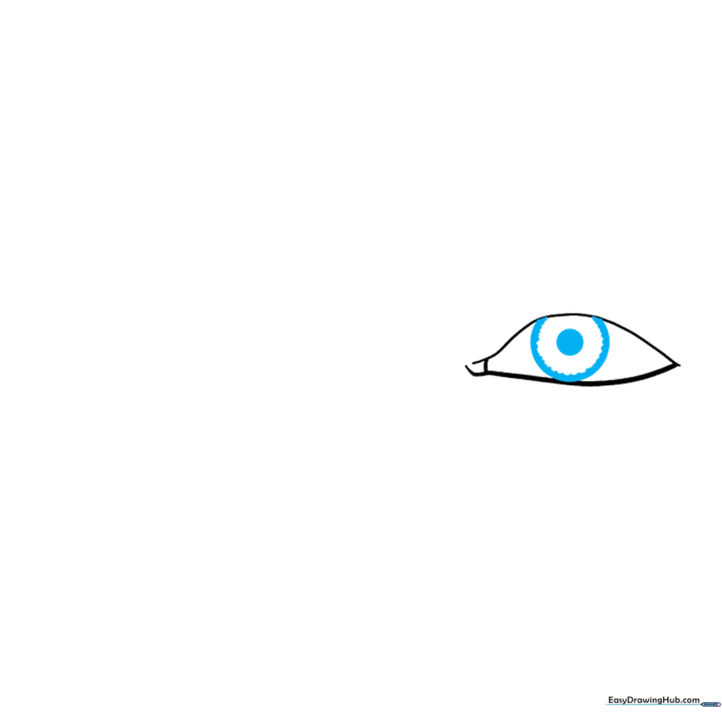 Drawing the iris as a partial circle with a dark, filled-in pupil in the center.