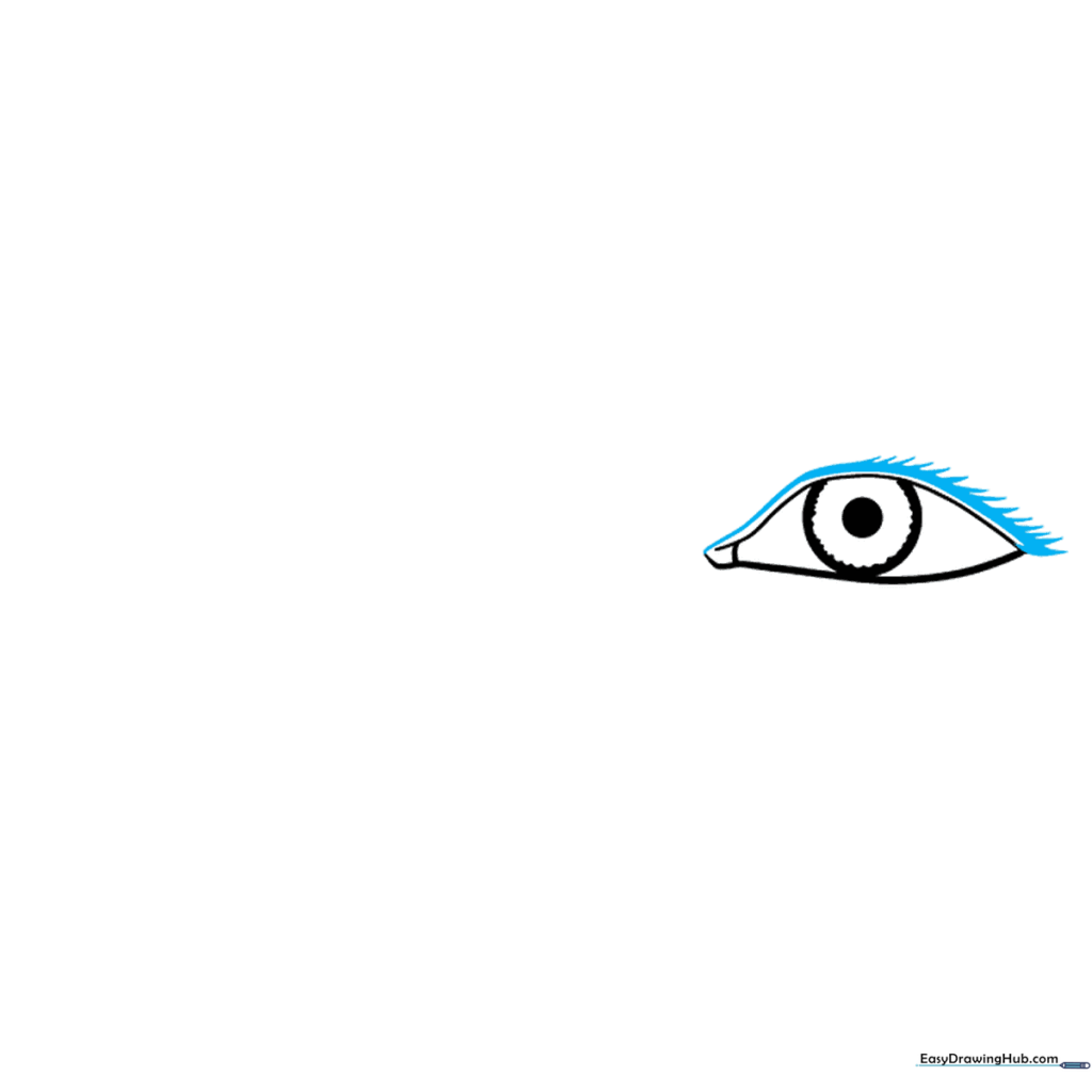 Adding the upper eyelid crease and a series of curved lines for eyelashes.