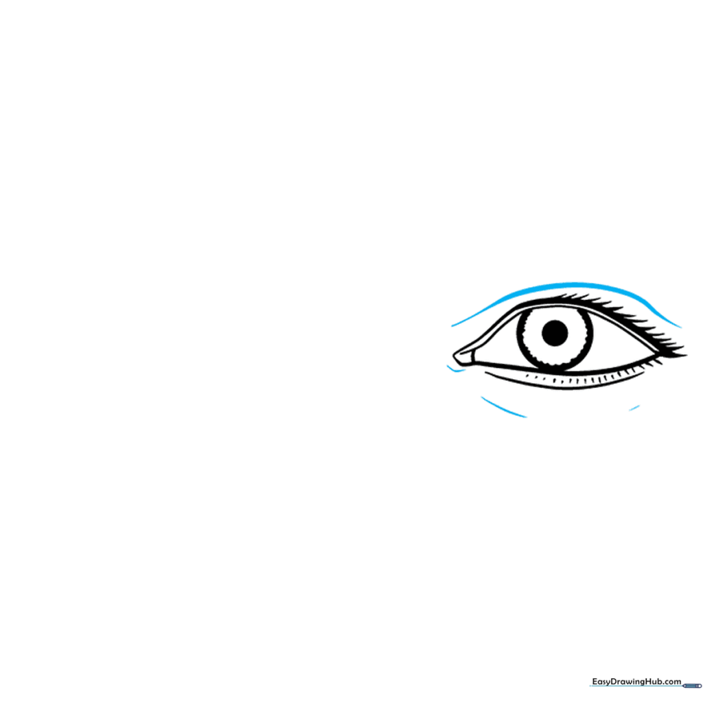 Adding contour lines above and below the eye to create depth.