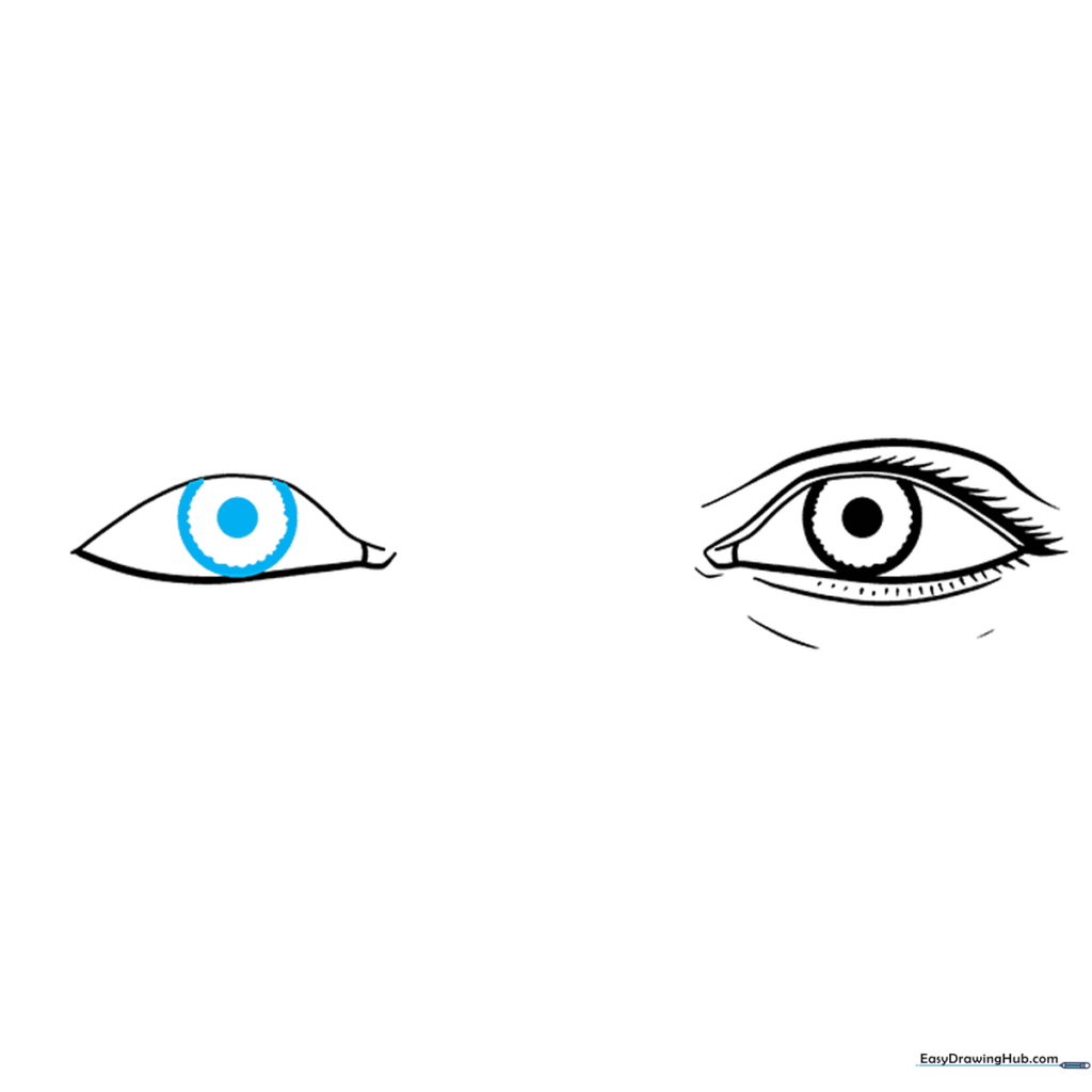 Adding the iris and pupil details to the second eye.