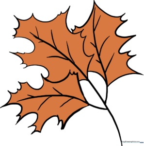 A vibrant, finished drawing of three autumn oak leaves in shades of red and gold.