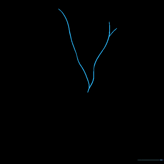 Pencil sketch showing a large V-shape with wavy lines to form the initial tree branches.