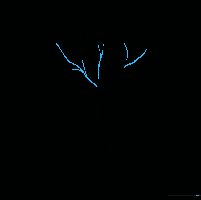 Adding smaller, irregular curved lines to the ends of the main branches to represent twigs.