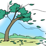 A vibrant, colorful illustration of an autumn tree with leaves blowing in the wind.