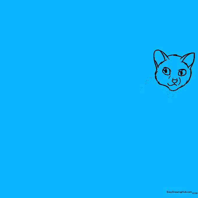 Drawing the cat's collar with a name tag and shoulder fur.