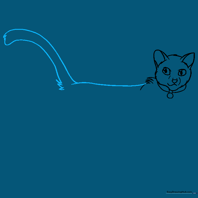 Sketching the long, bushy tail and the cat's back.