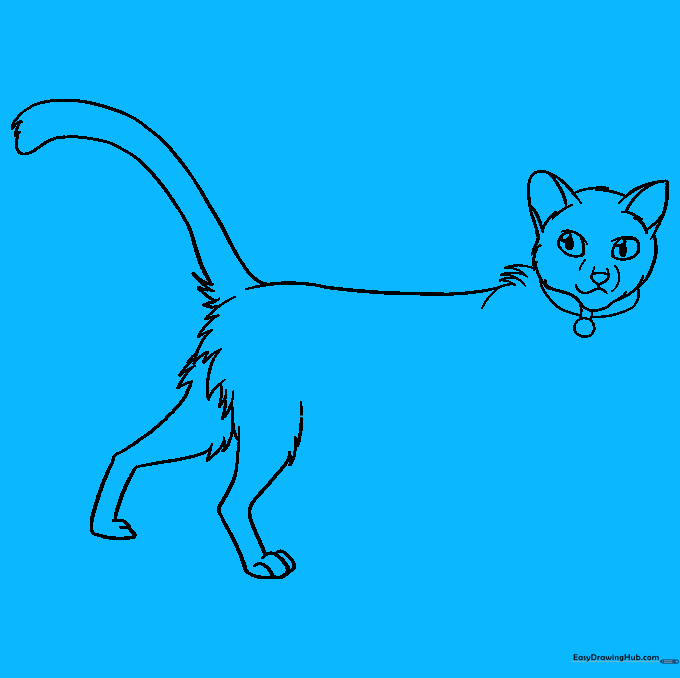 Adding the belly and front leg details to the cat.