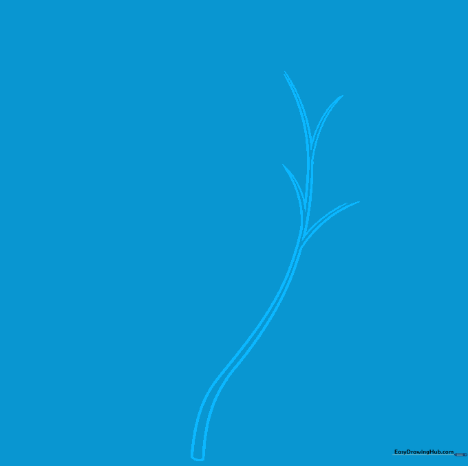 Pencil sketch of two branching stems for a forget-me-not flower drawing.