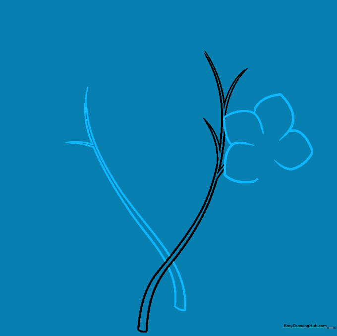 Adding secondary stems and the outline of the first flower petals.