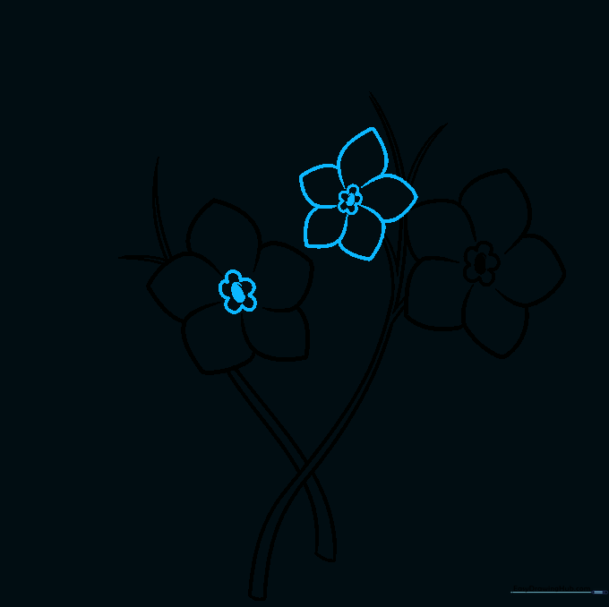 Drawing two additional flower blossoms on the stems.