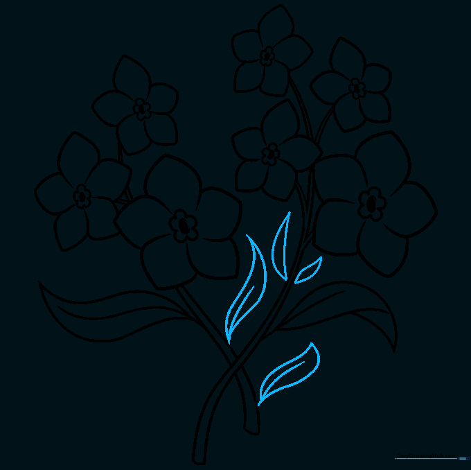 Completing the drawing by adding final leaves at the base.