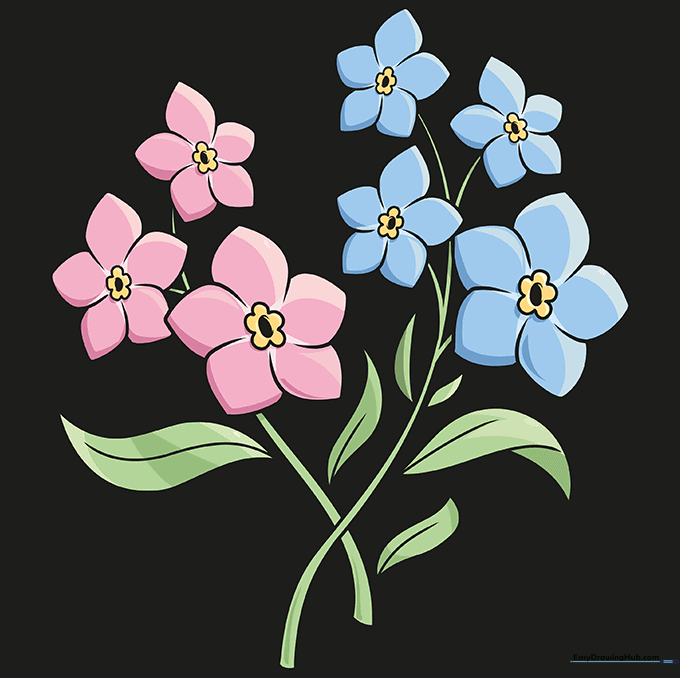 The finished, colored drawing of a forget-me-not flower cluster.
