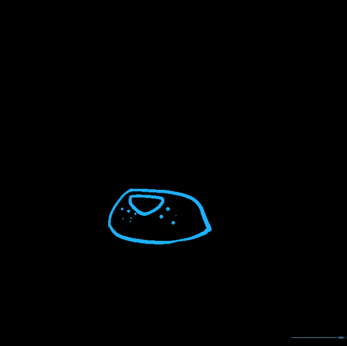 Drawing the snout and nose area with whisker dots.