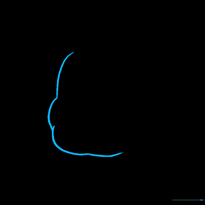 Pencil sketch showing the initial rounded, lumpy outline of Freddy Fazbear's head shape.