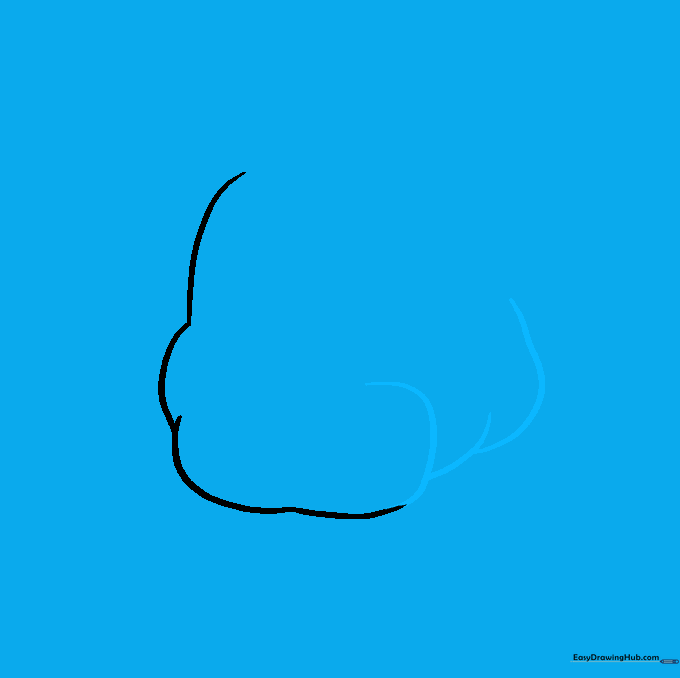 Drawing showing the addition of curved lines to form the muzzle and upper jaw structure.