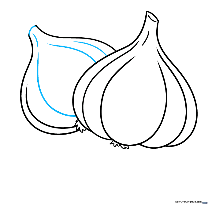 Adding contour lines to the garlic bulbs to show clove separation.