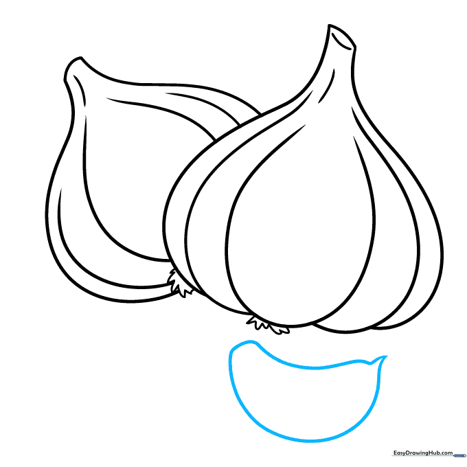 Sketching a single, detached garlic clove with a pointed end.
