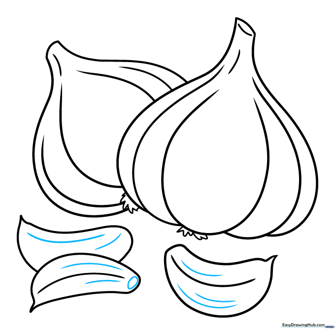 Finalizing the garlic drawing with texture lines on the skin.