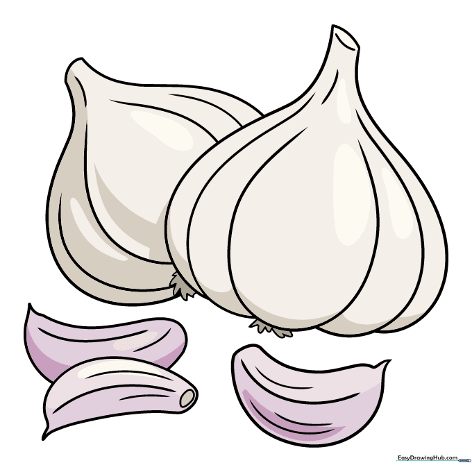Finished garlic drawing colored with shades of cream and purple.