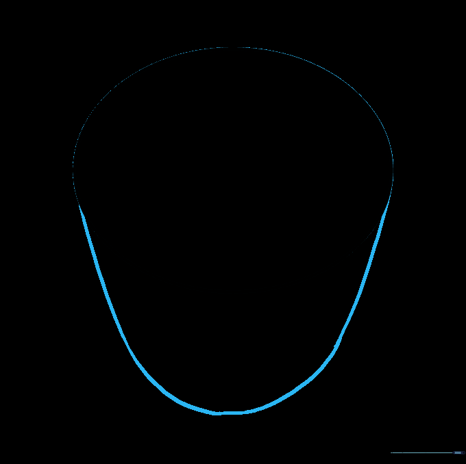 The oval guide with a curved line added at the bottom to form the chin and mouth area.