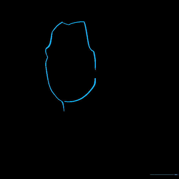 Pencil sketch showing the basic outline of George Washington's face, jaw, and neck.