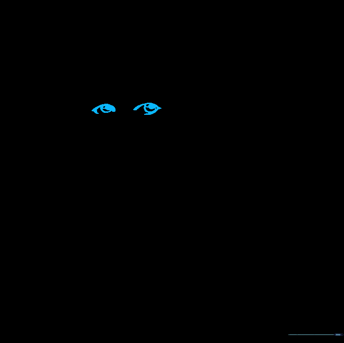 Detailing the eyes with pupils and eyelids.