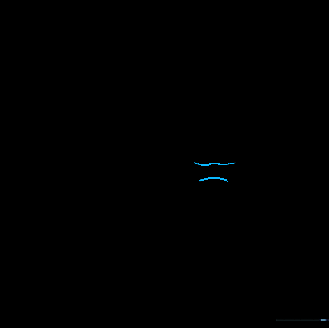 Two lenses connected at the top by a small bridge, with excess lines erased for a clean look.