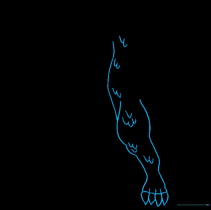 Godzilla's leg and foot with sharp claws and scale markings.