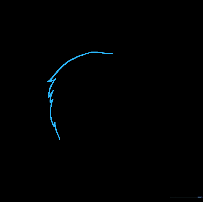 Outlining the head shape with jagged lines to represent fur.