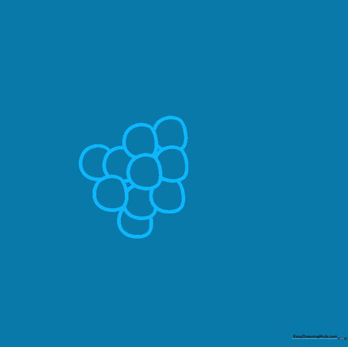 Pencil sketch showing the first few overlapping circles forming the top of a grape cluster.