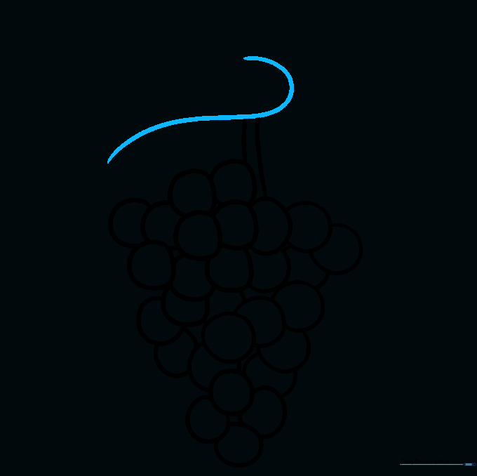 Starting the outline of a large grape leaf above the stem.