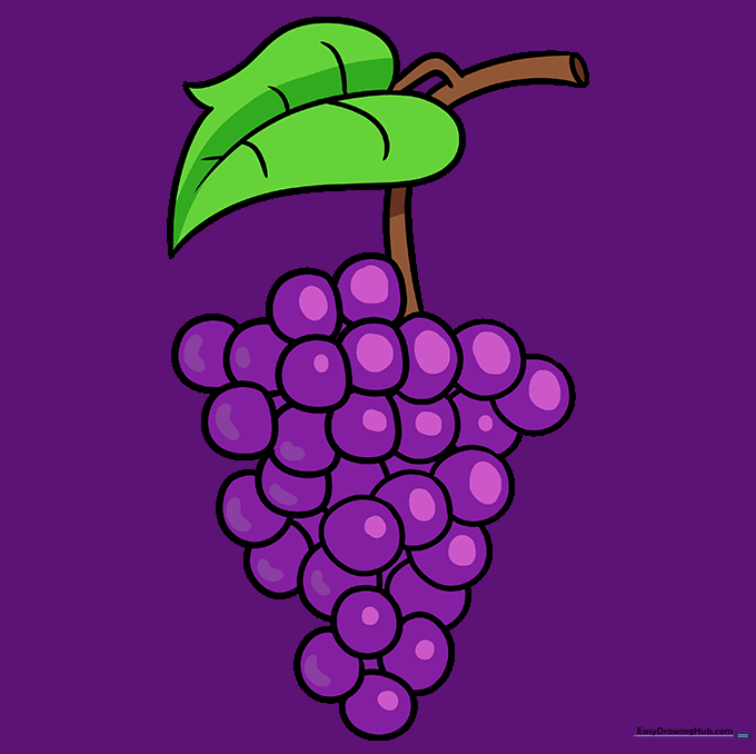 The finished, colored drawing of a bunch of grapes with a green leaf.