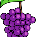 A colorful, finished illustration of a bunch of grapes on a vine, ready for coloring.