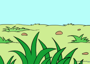 A vibrant, finished drawing of a grassy meadow with rocks and a clear horizon.