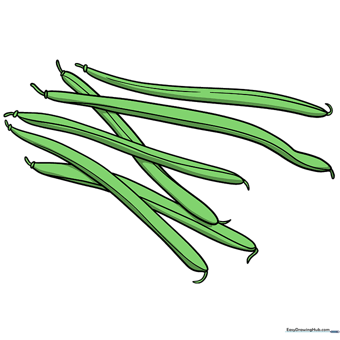 The finished green bean drawing colored with vibrant green shades.
